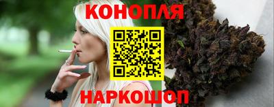 гидра Каменск-Шахтинский