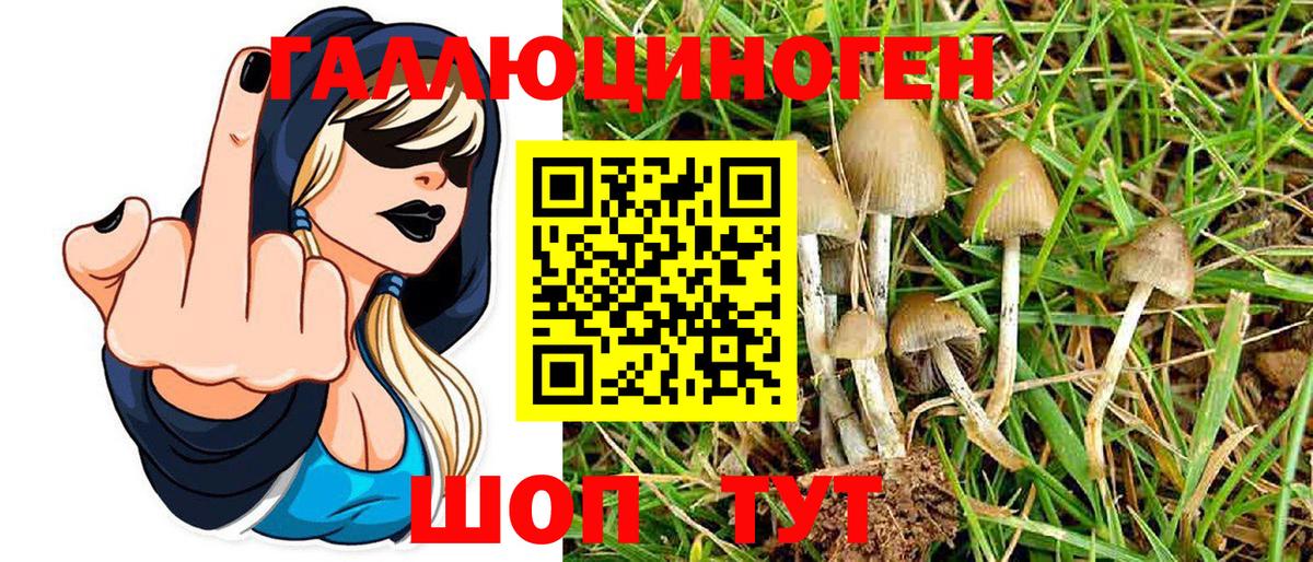Мценск  Галлюциногенные грибы Magic Shrooms  купить закладку  Вход с VPN 