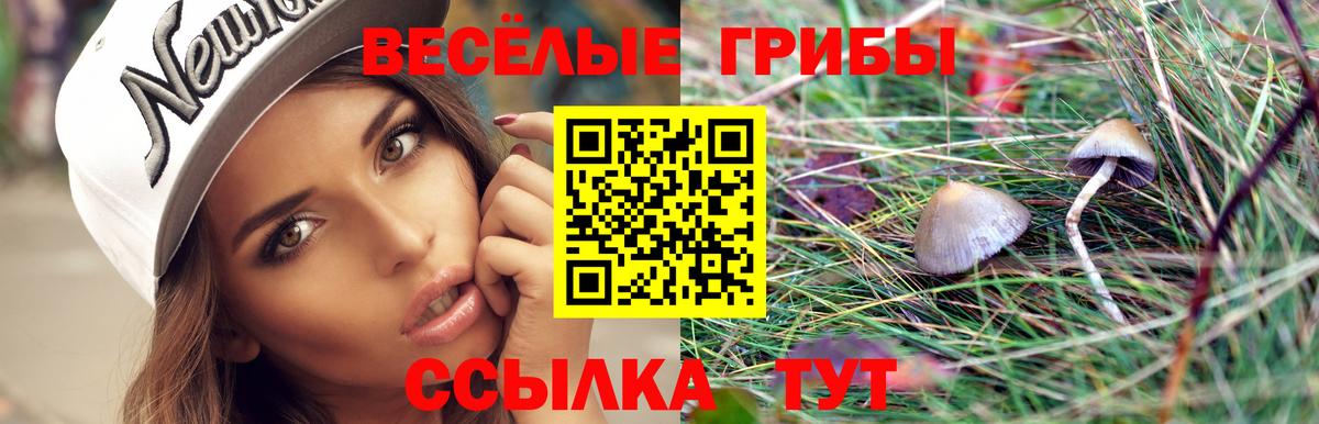 Псилоцибиновые грибы Cubensis Мценск